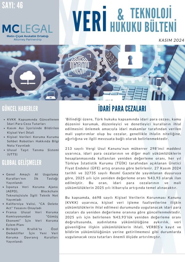 Kasım 2024 / Sayı 46